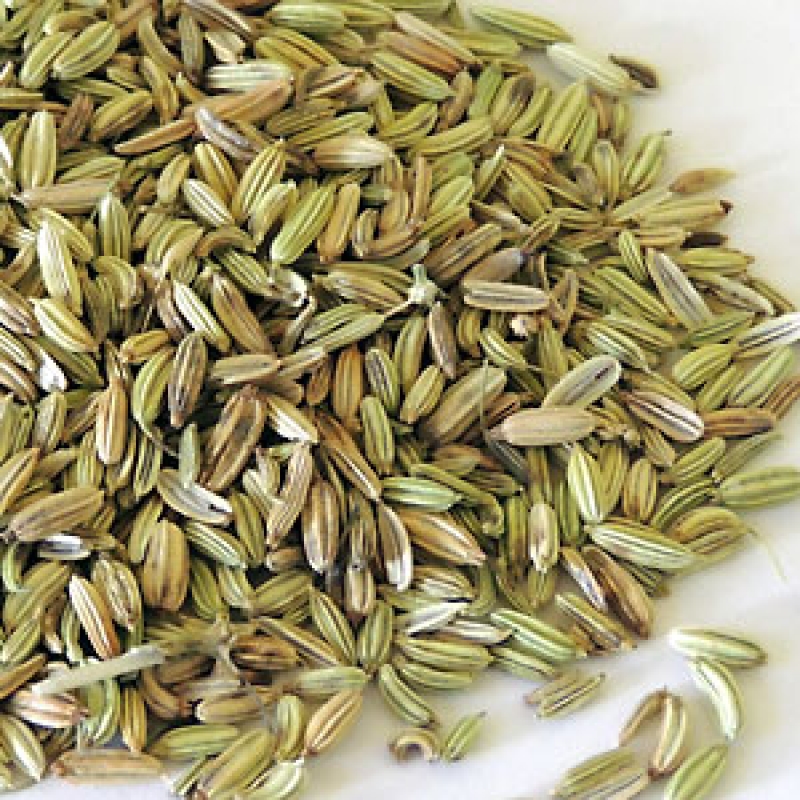 Fenchel, ganz, grün, gereinigt